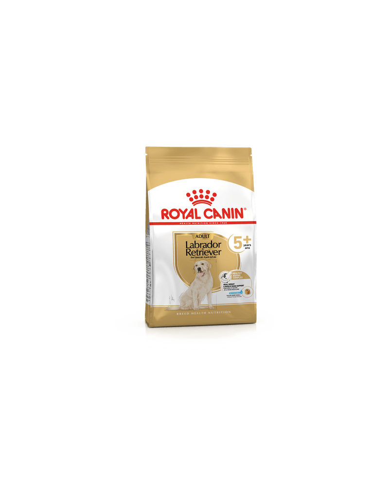 Royal canin best sale senior labrador